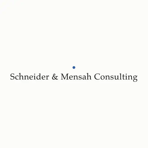 Schneider & Mensah Consulting logo