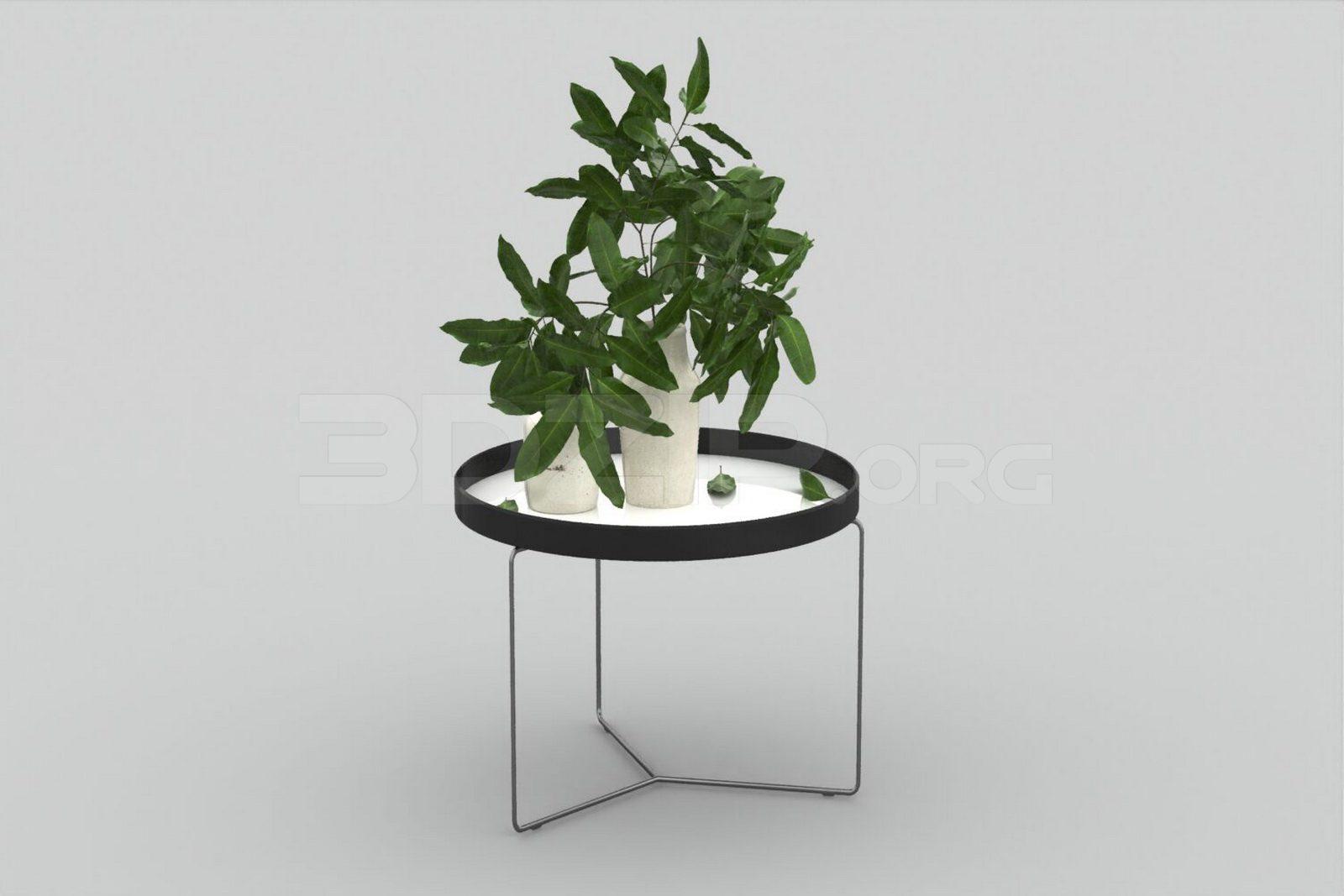 Decorative