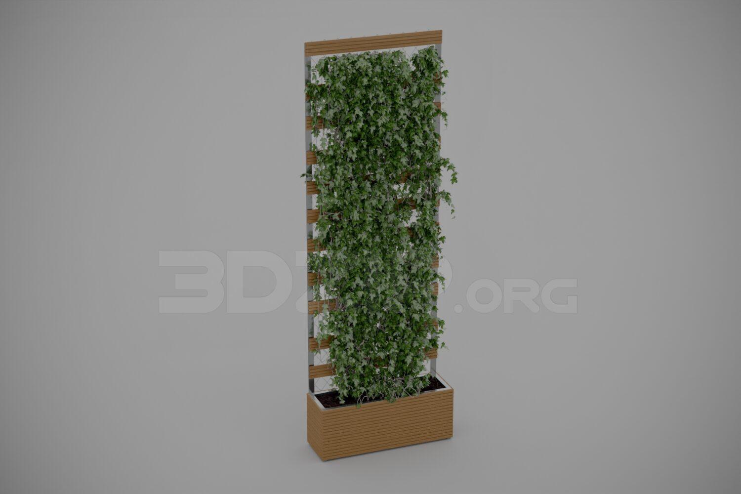 Plant