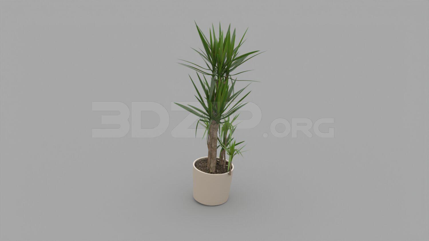 Plant