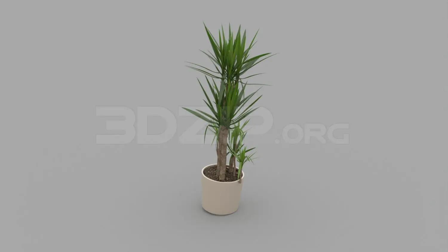 Plant