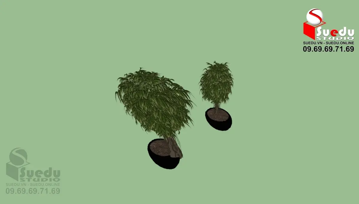 BonSai Tree — preview 1 (cgtips)