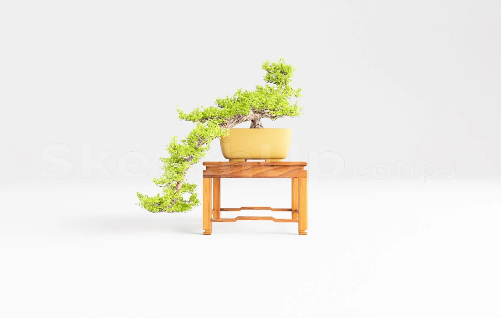 BonSai Tree — preview 1 (cgtips)