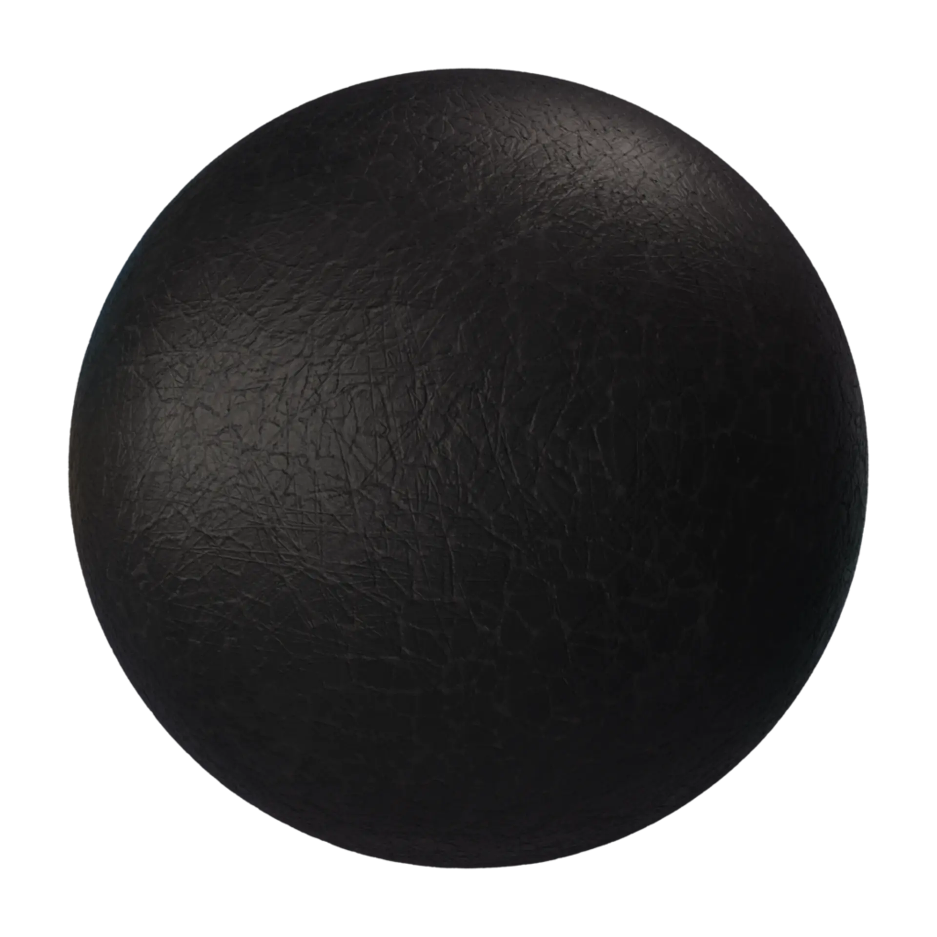 Leather 027