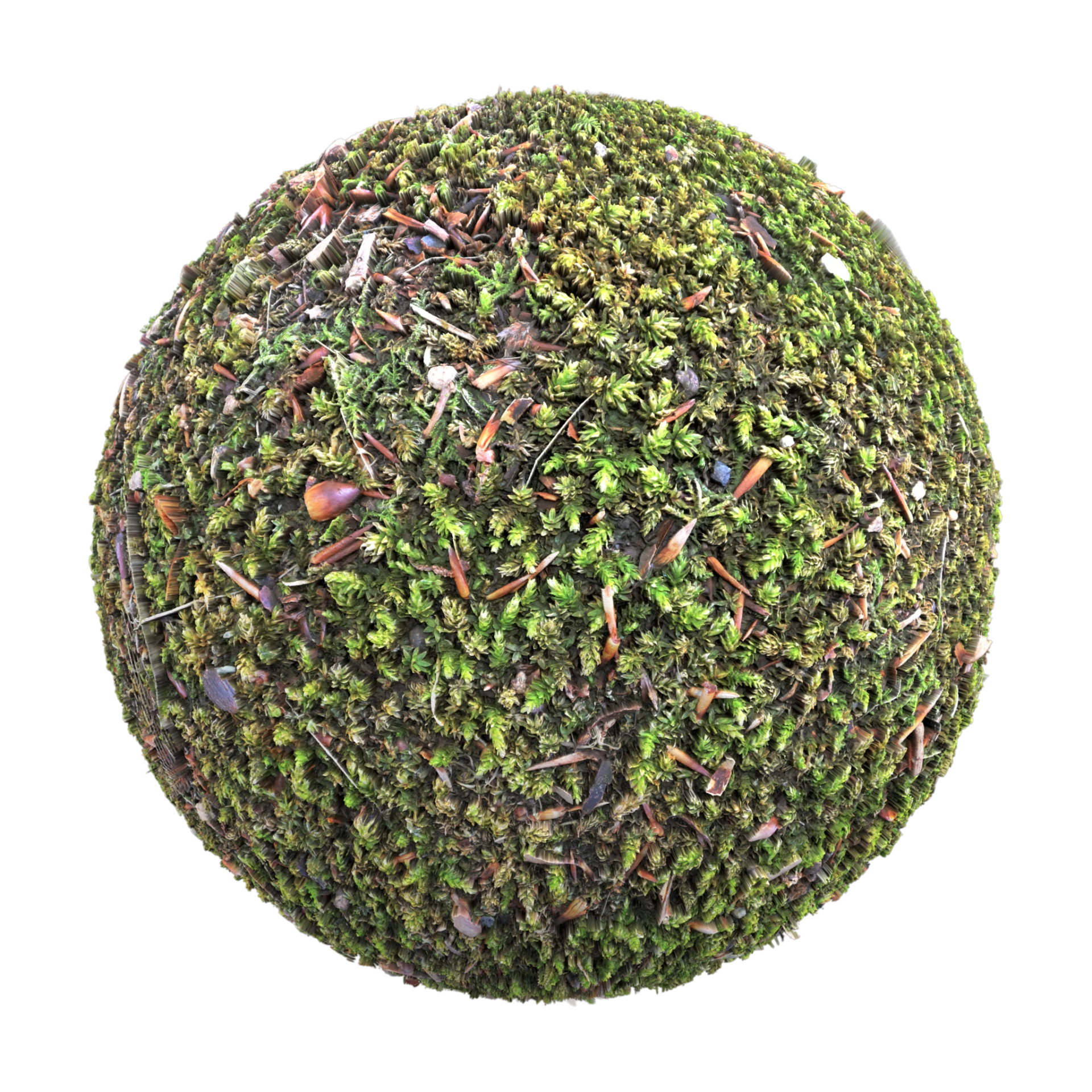 Moss 001