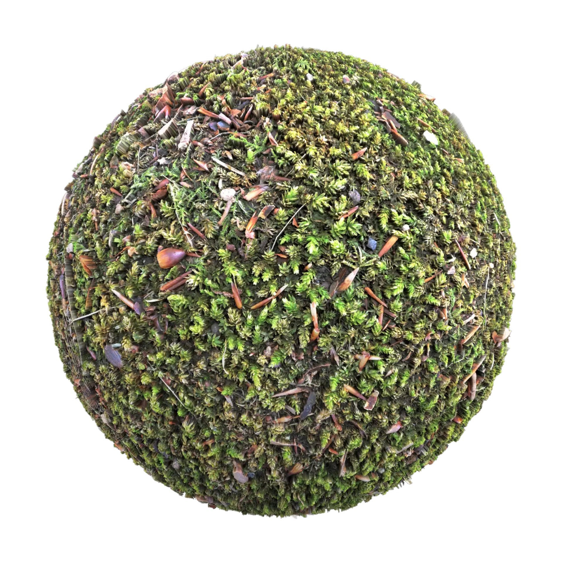 Moss 001