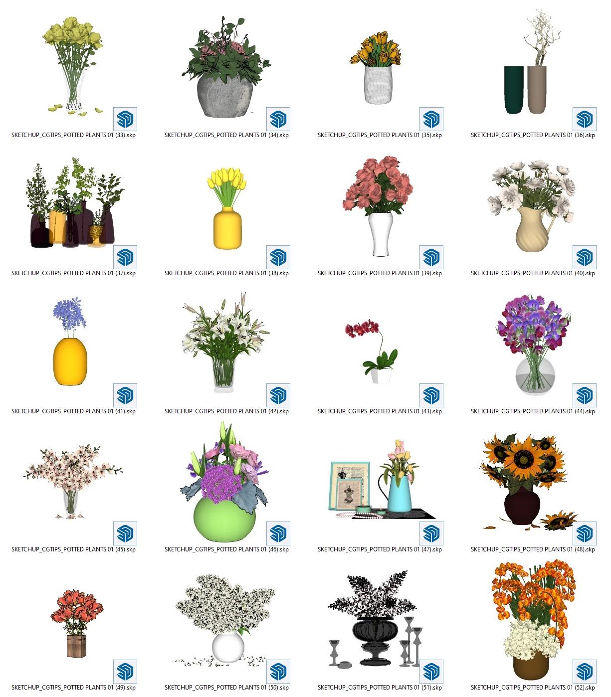 Potted Plants