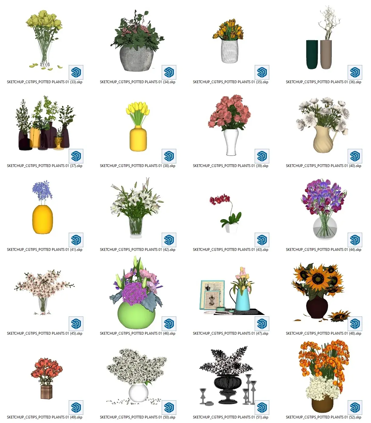 Potted Plants
