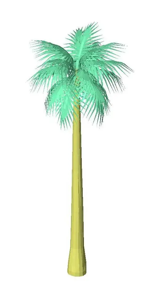A_palm5