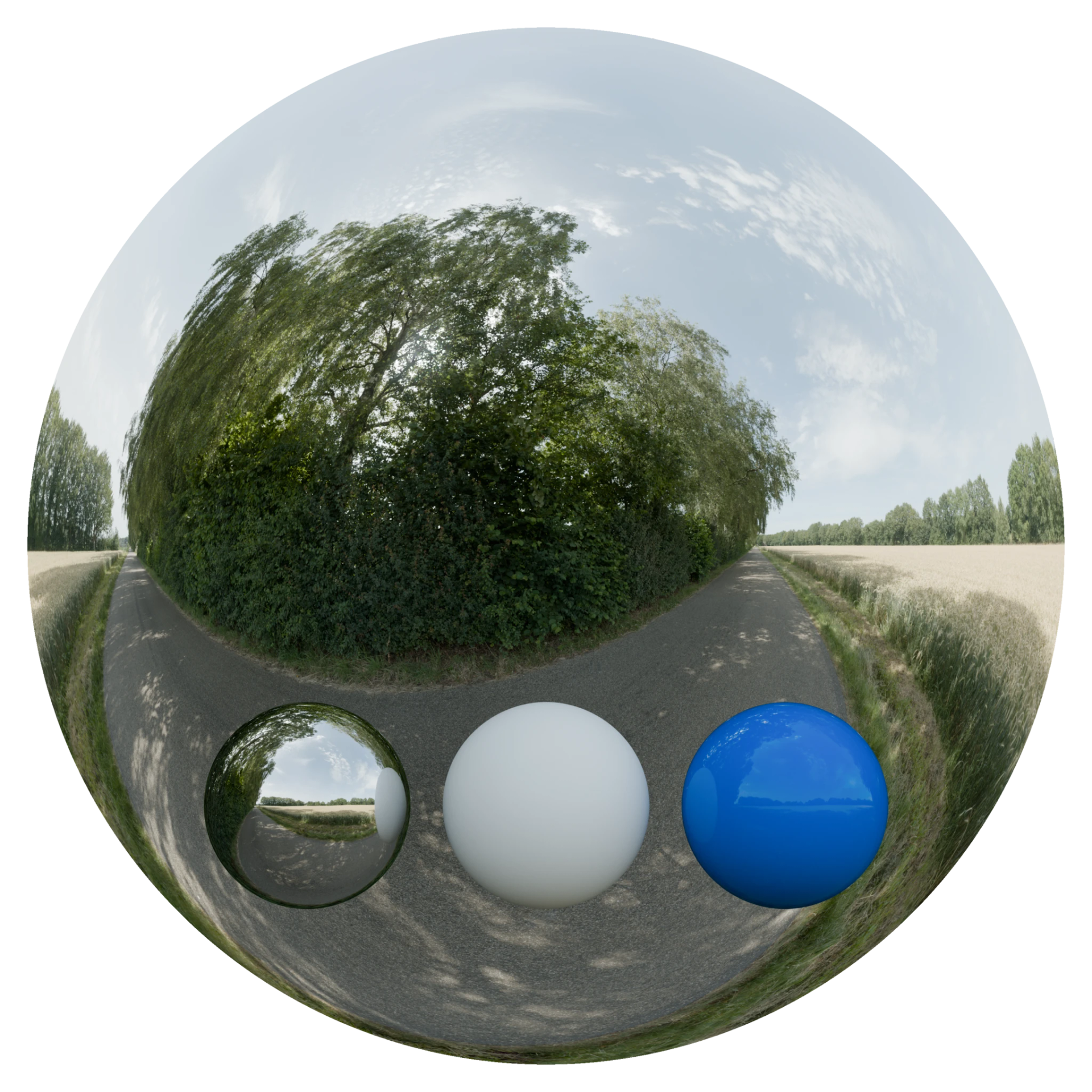 Day Environment HDRI 051