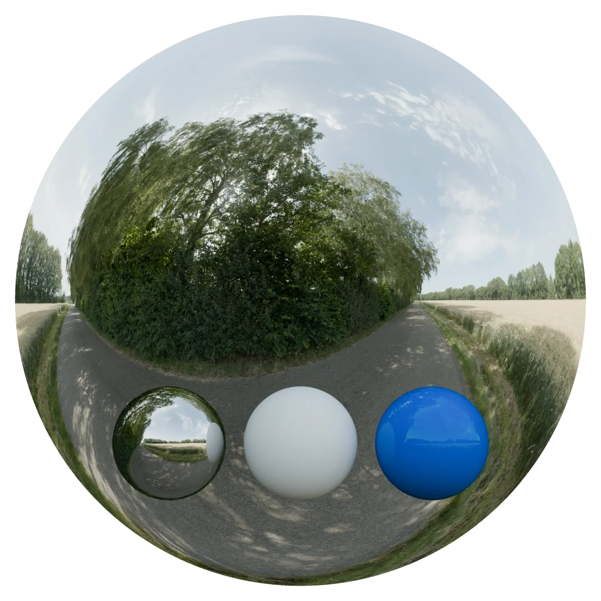 Day Environment HDRI 051