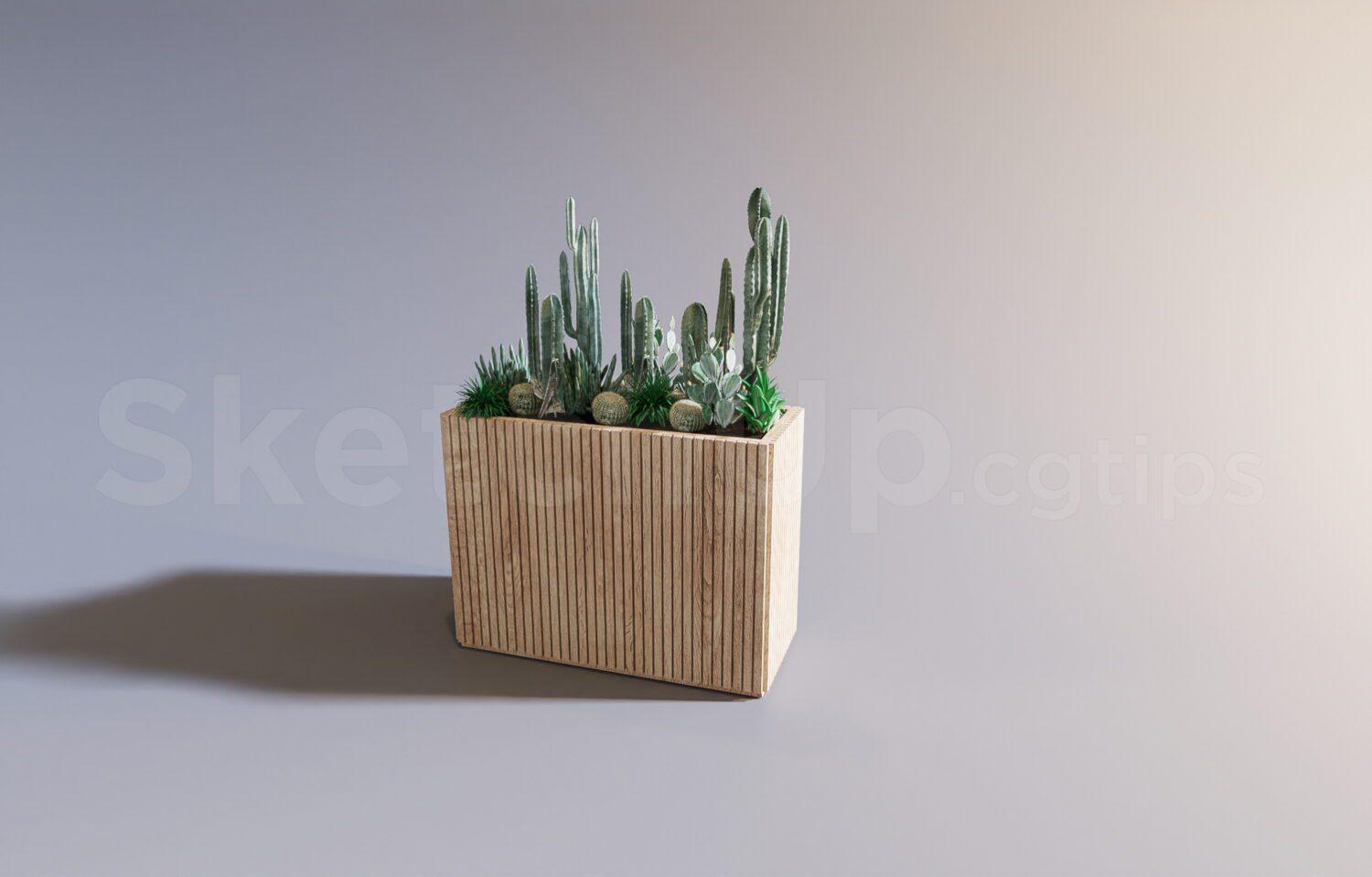 Plant