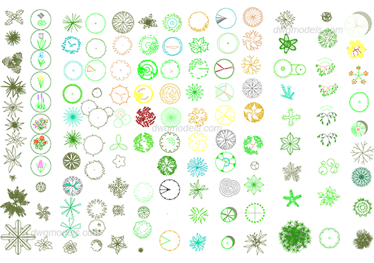 Trees 2