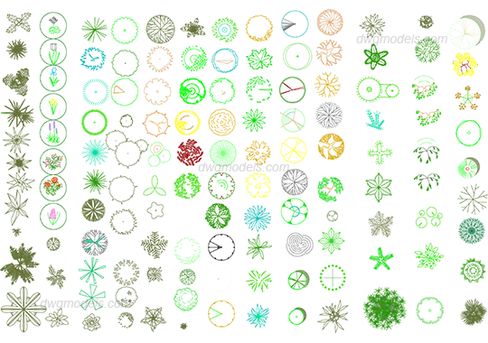 Trees 2