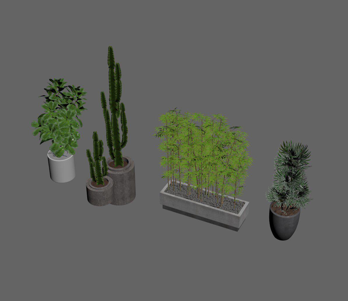 Plant