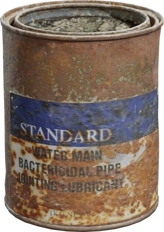 Can Rusted