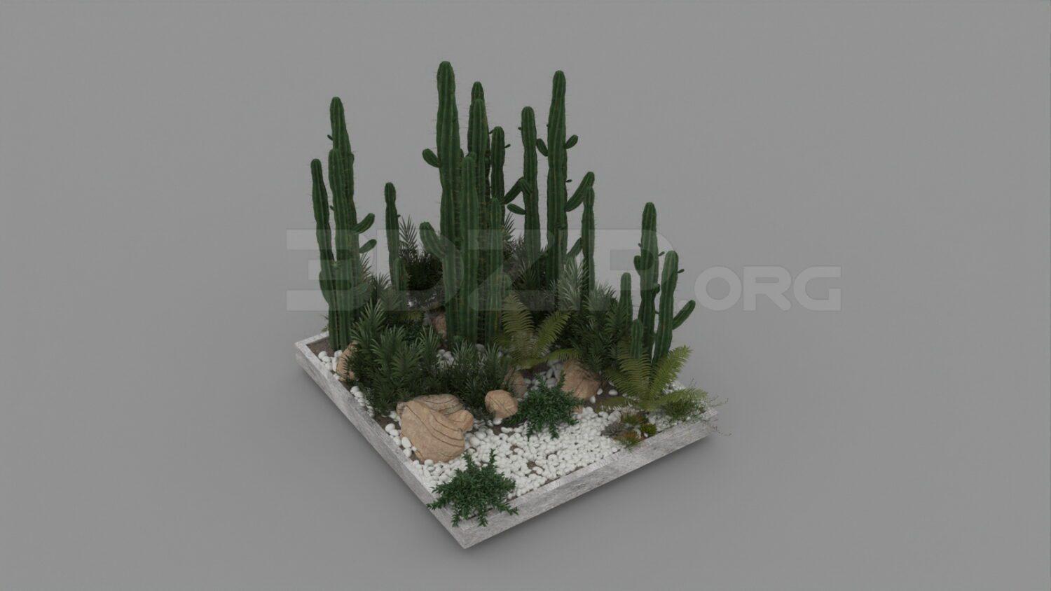 Plant
