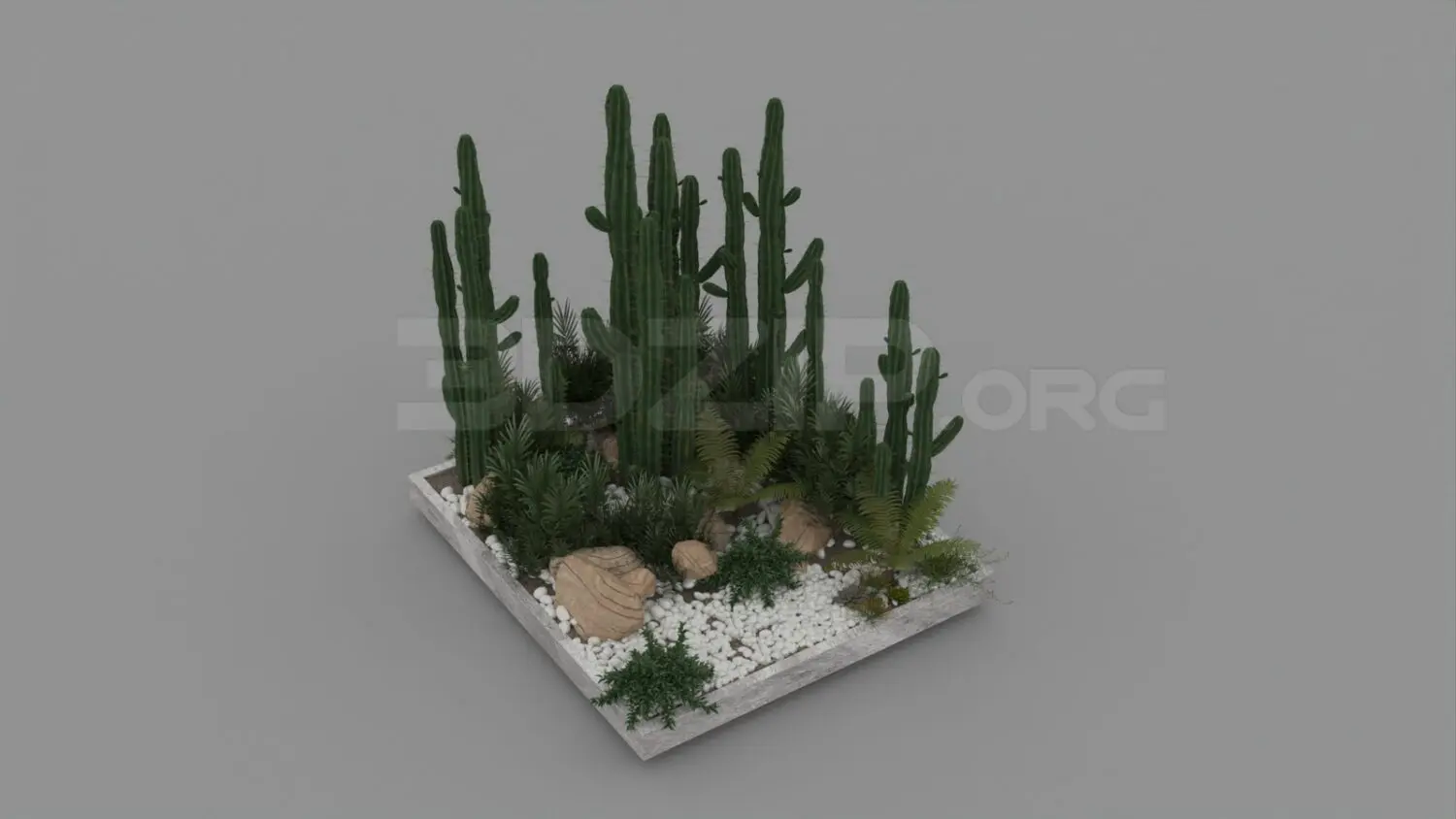 Plant