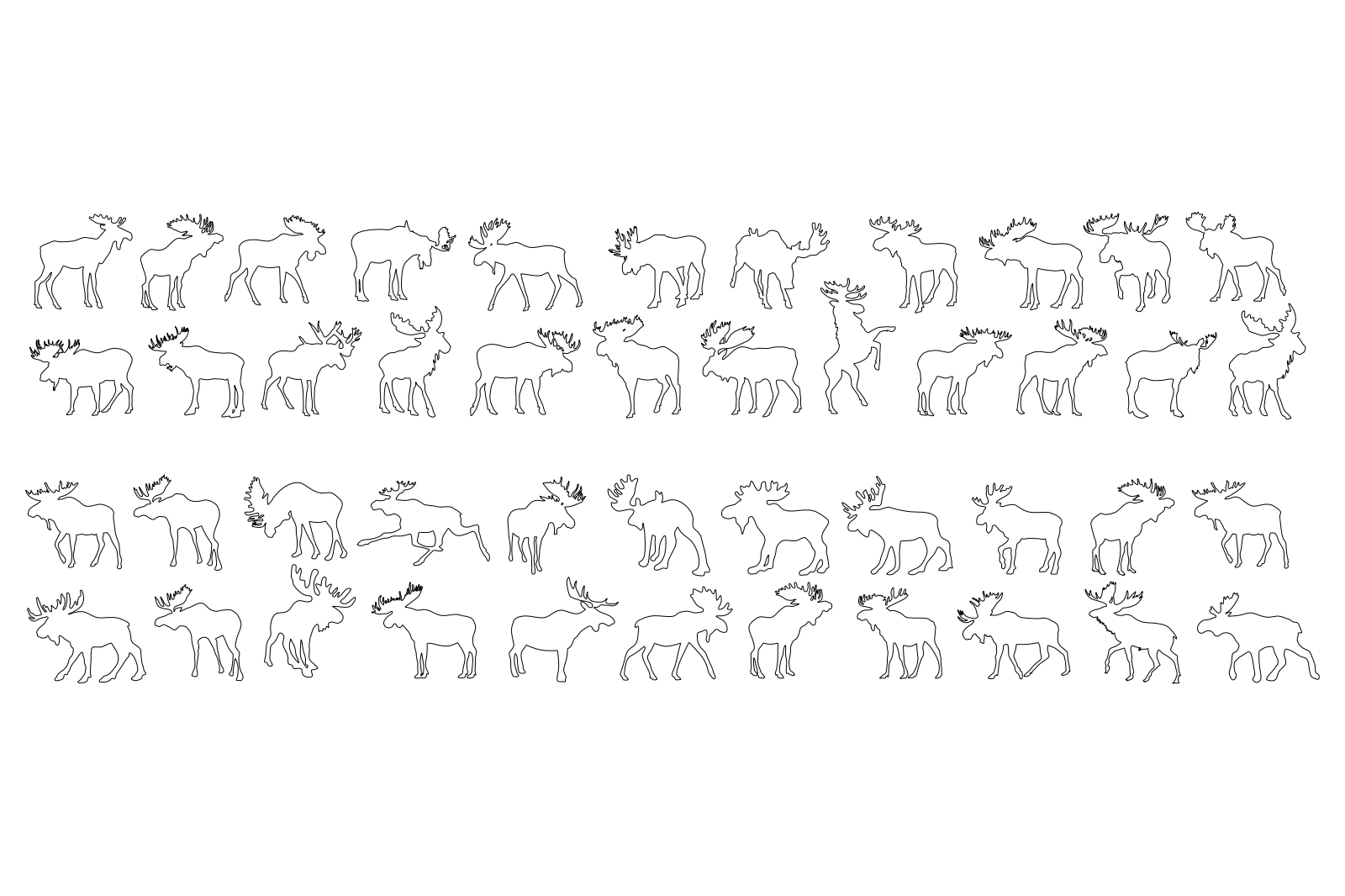 Moose