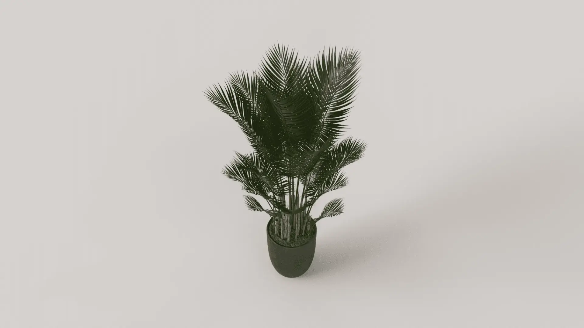 Plant