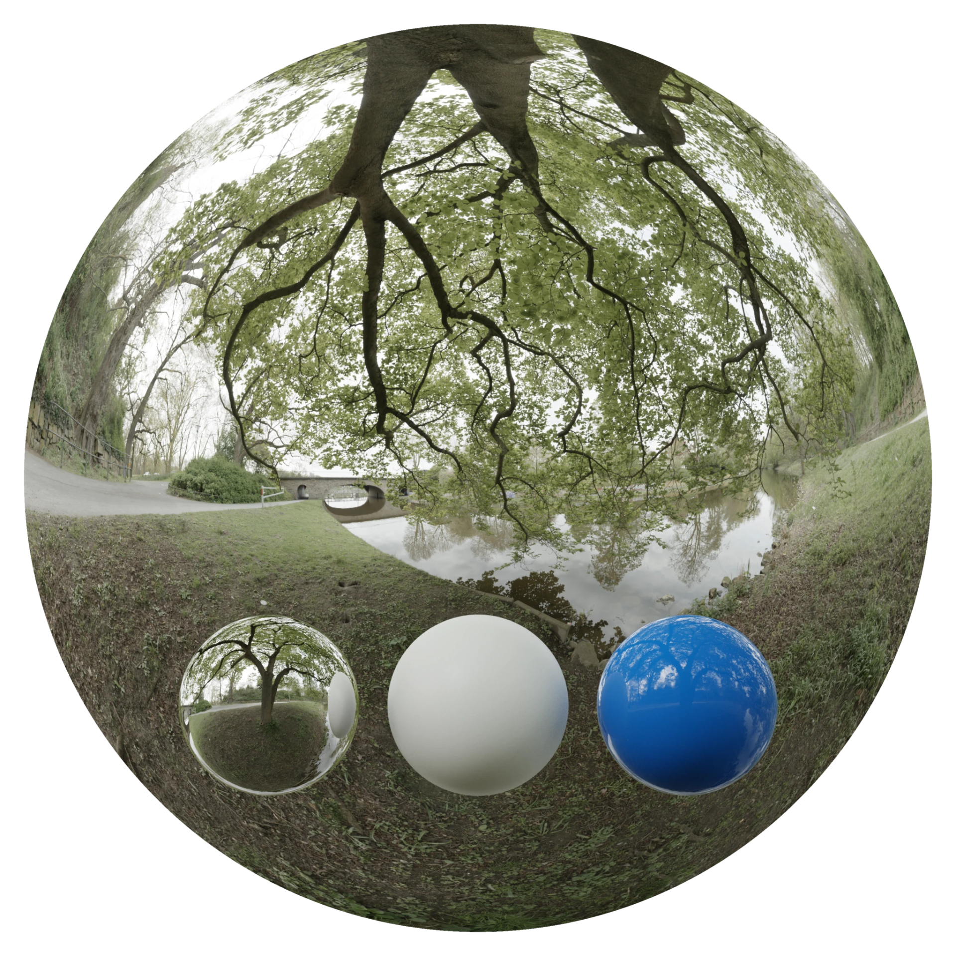 Day Environment HDRI 028