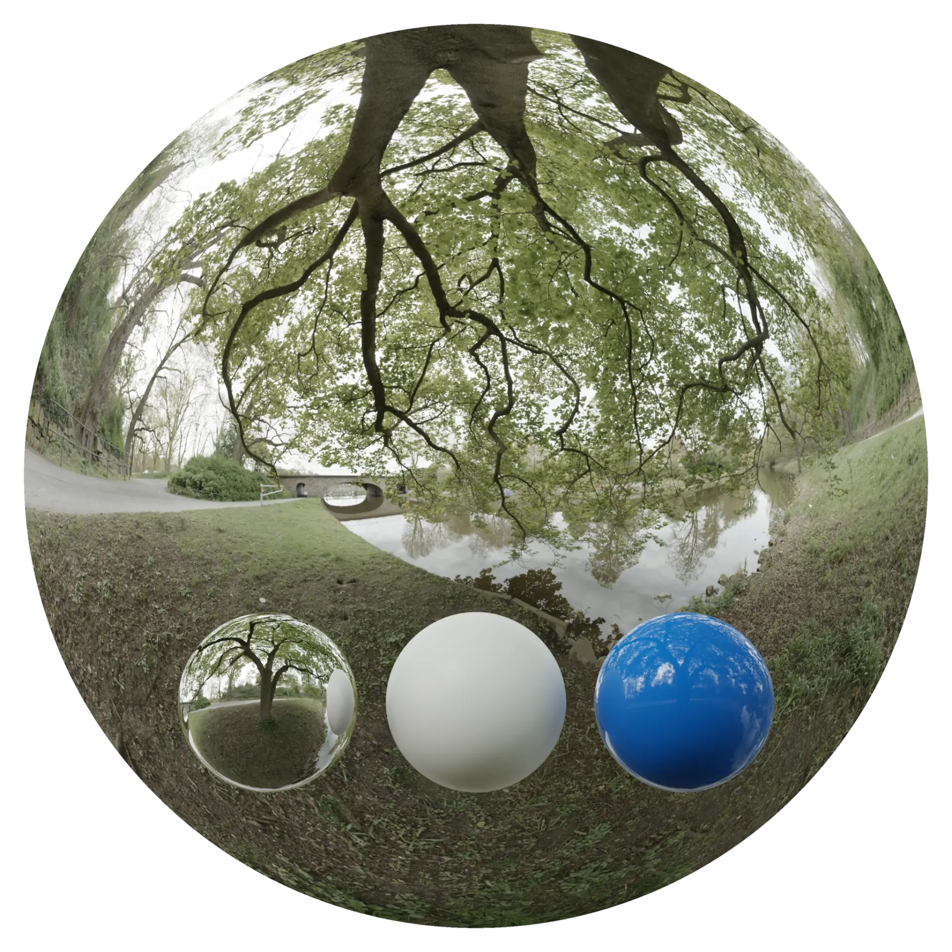 Day Environment HDRI 028