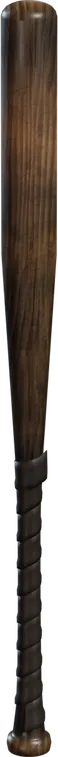 Baseball Bat