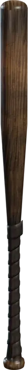 Baseball Bat