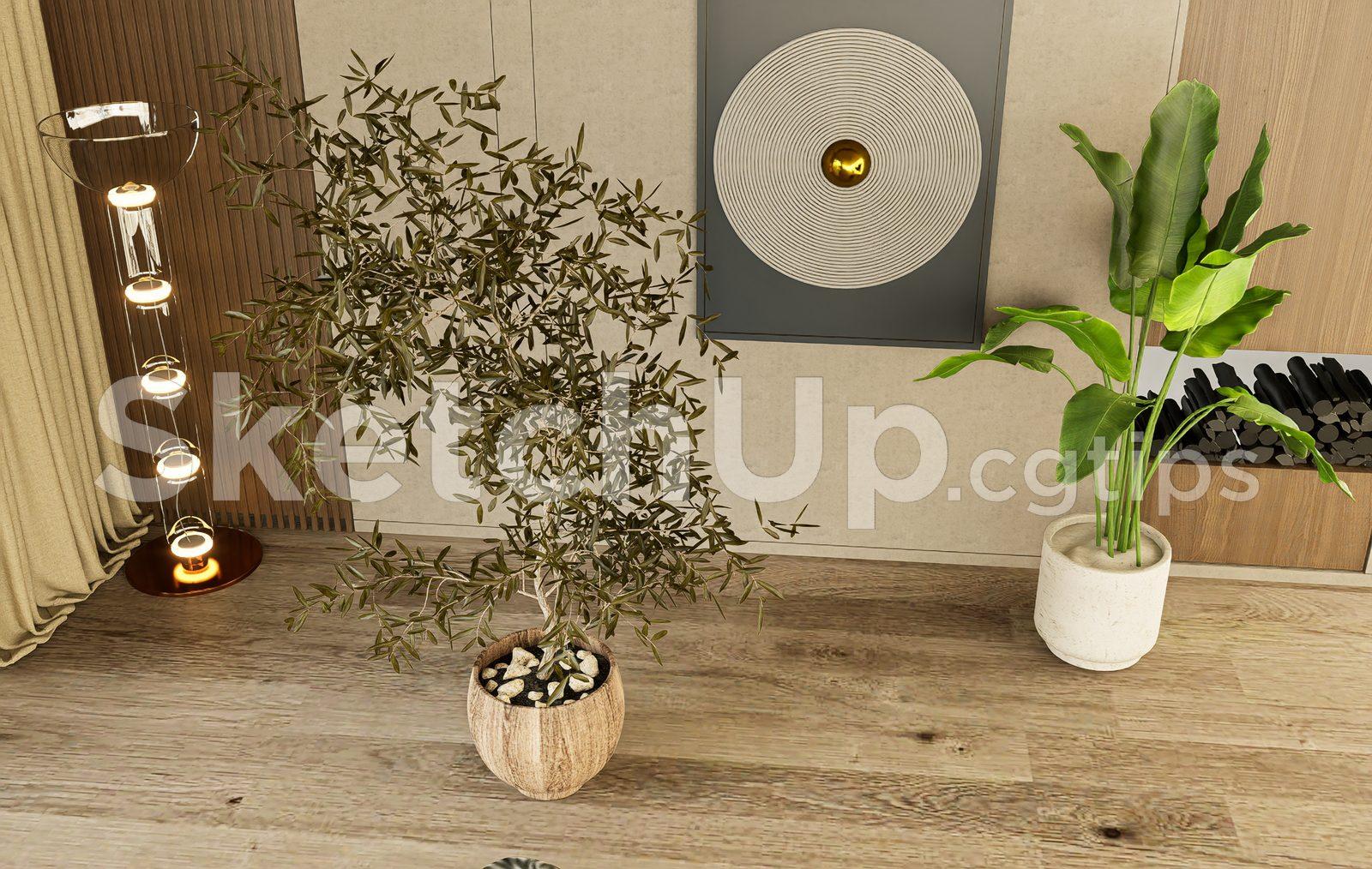 Plant