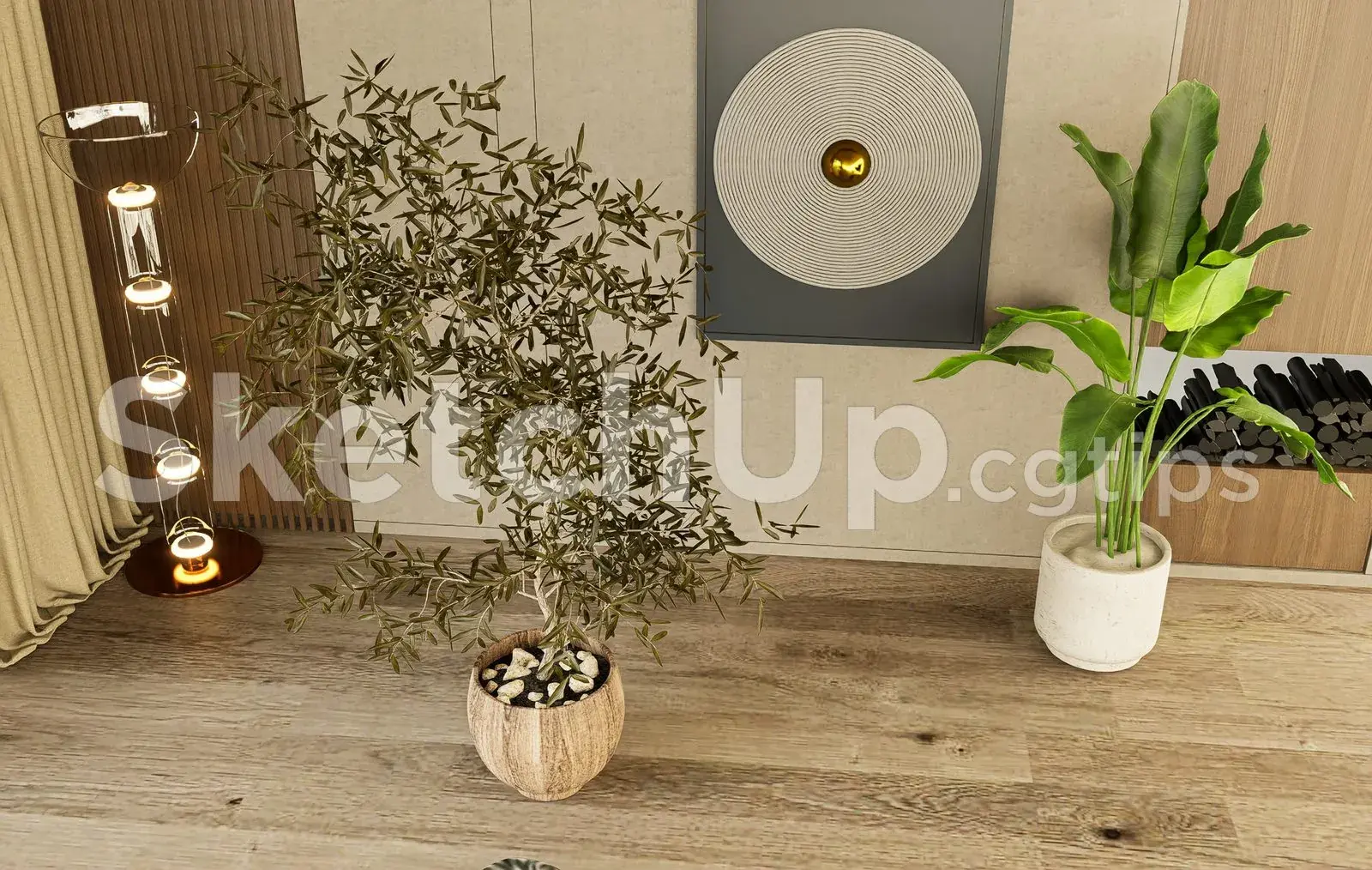 Plant
