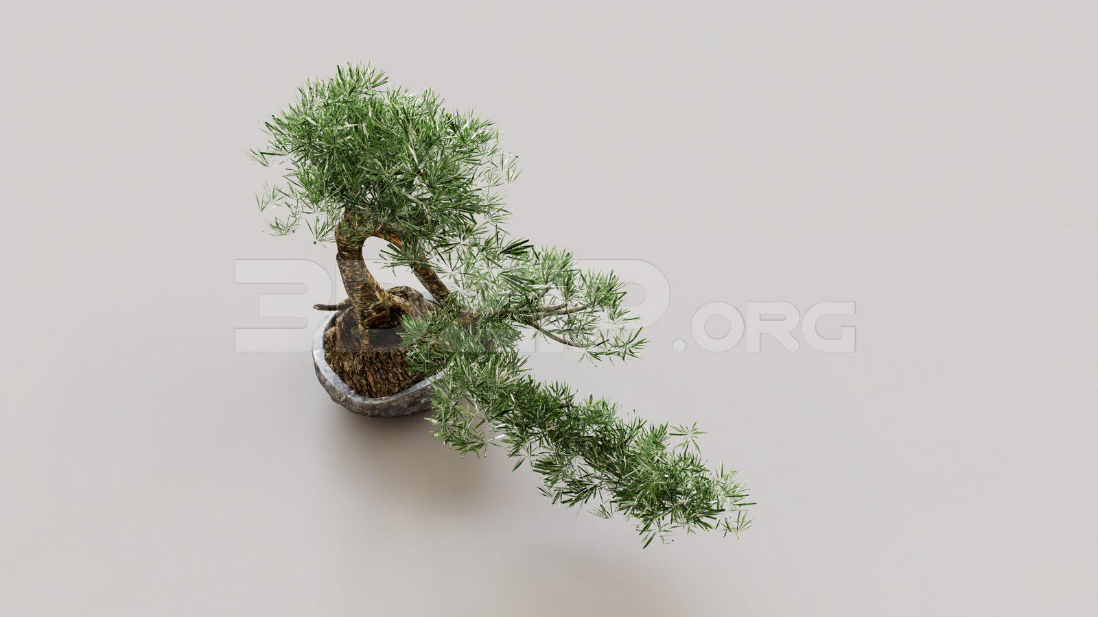 BonSai