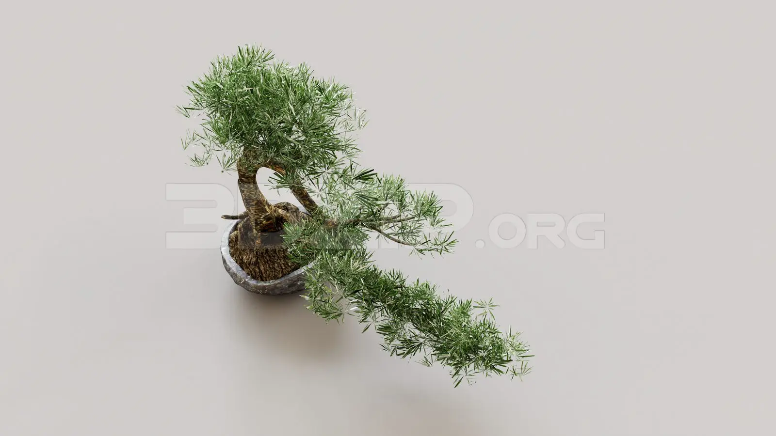 BonSai — preview 1 (3dzip, CC0)