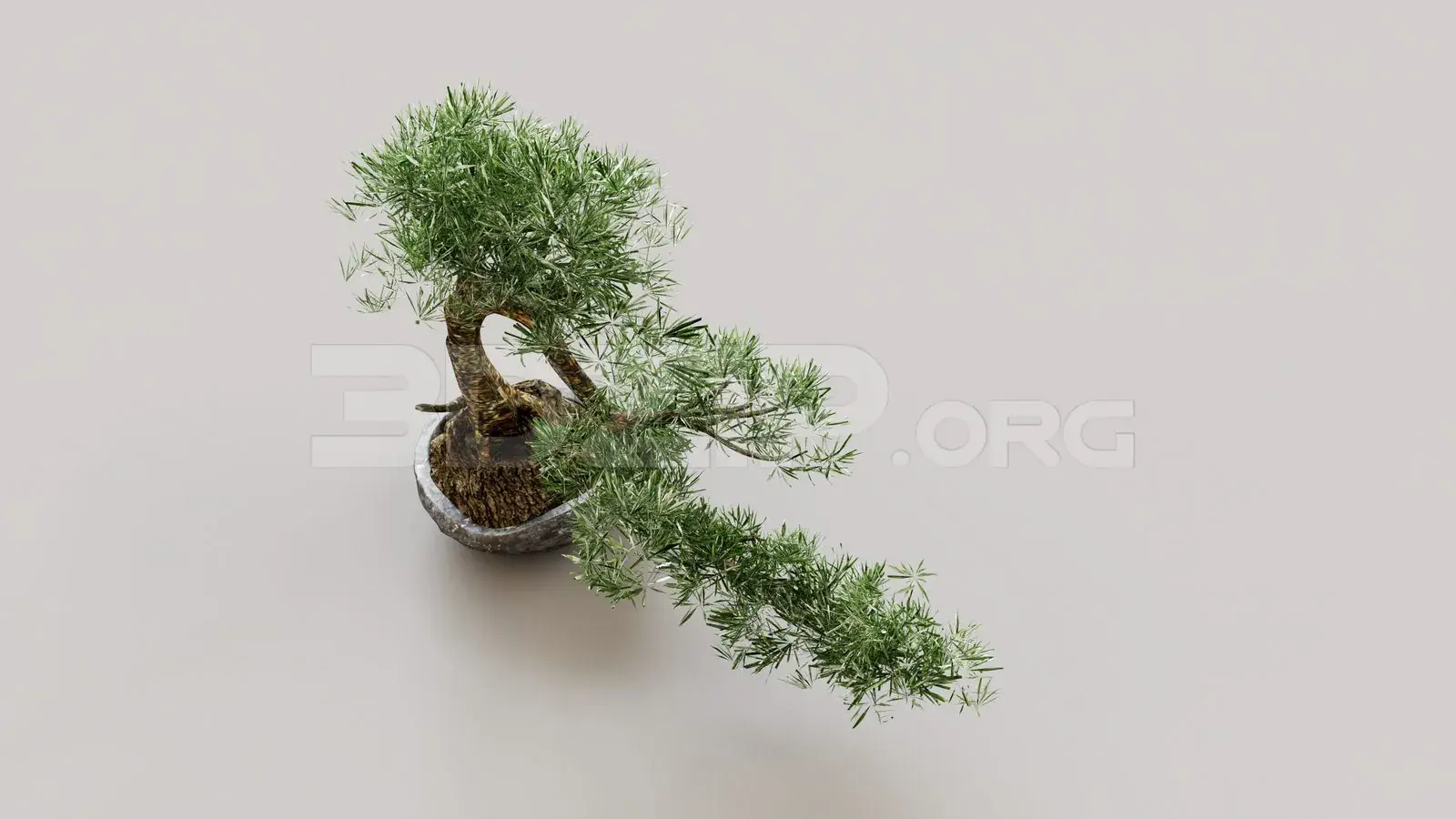 BonSai
