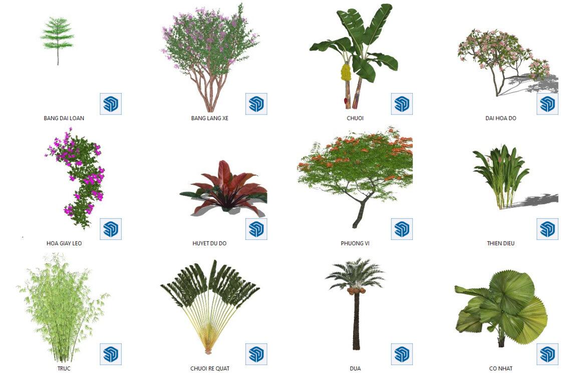 Tree Plant