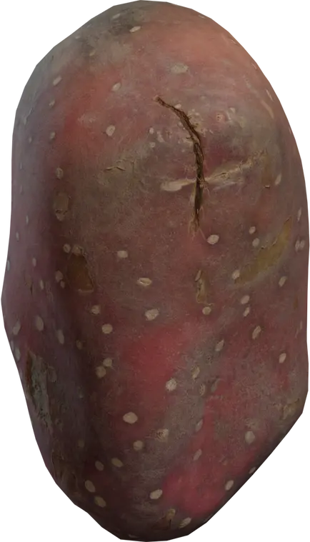 Sweet Potato