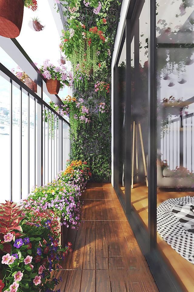 Hanging Flowers Plant Ivy