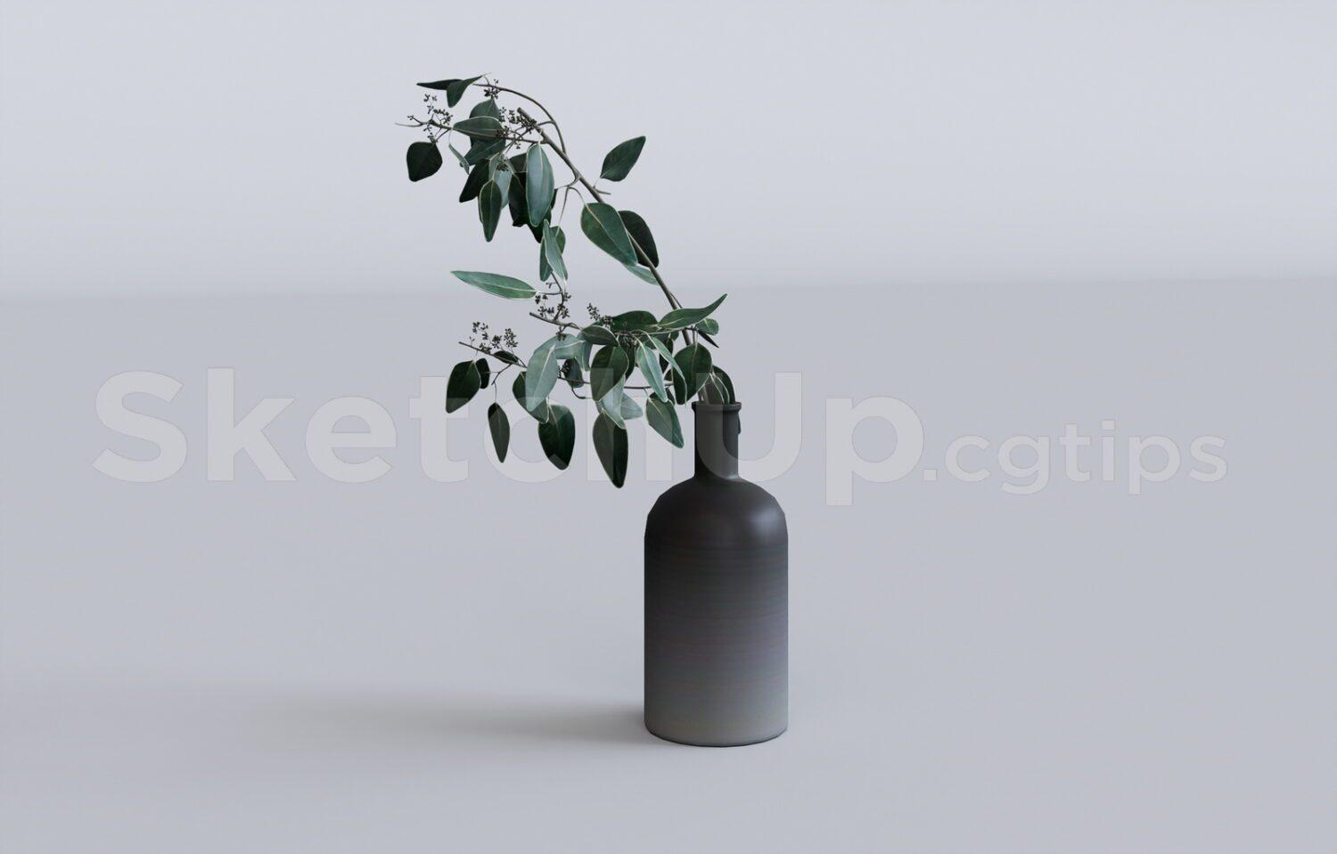 Plant