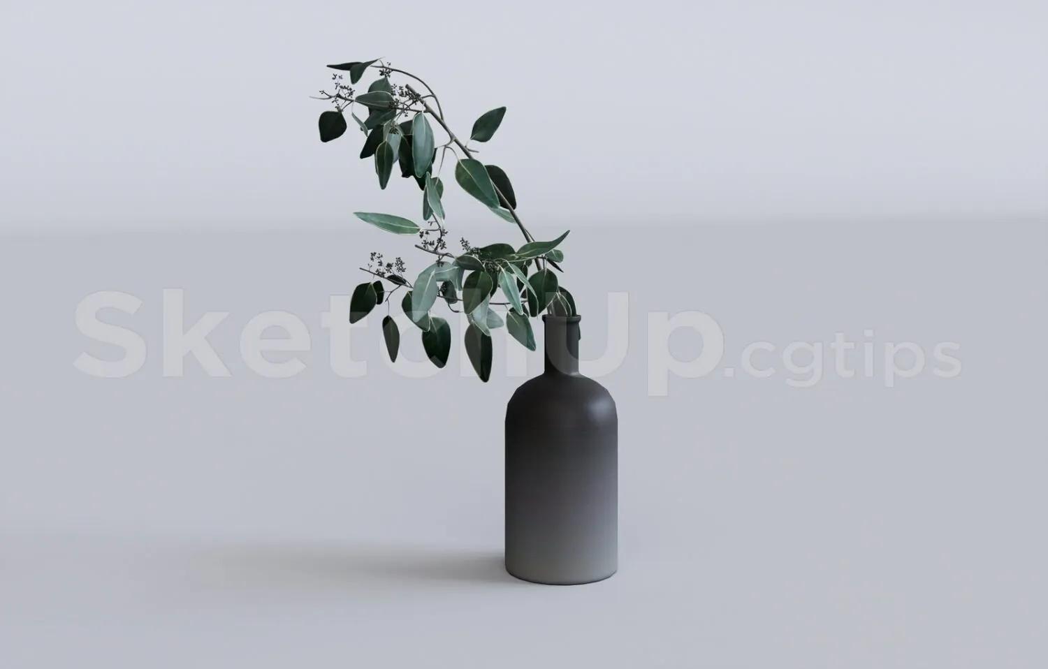 Plant