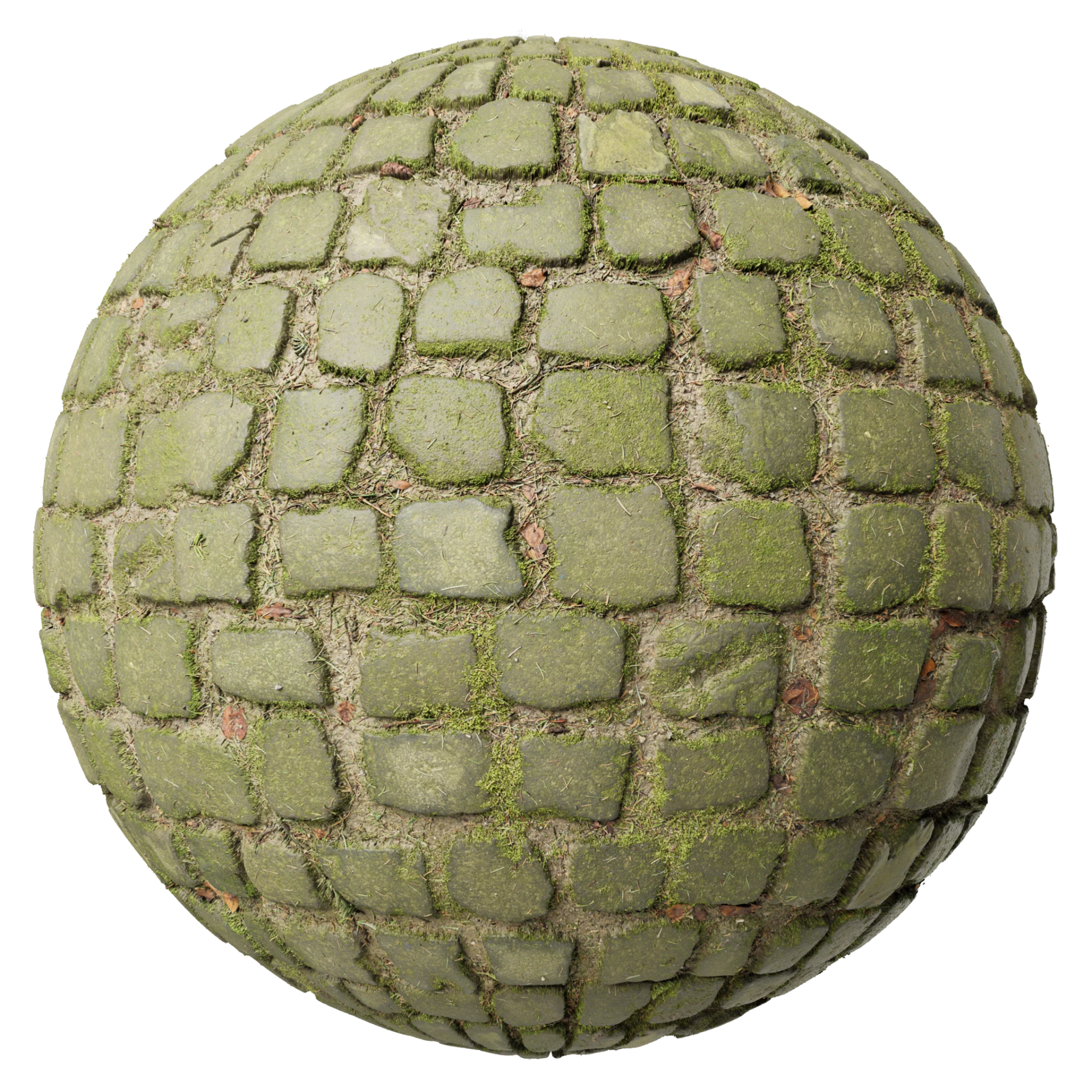 Paving Stones 113