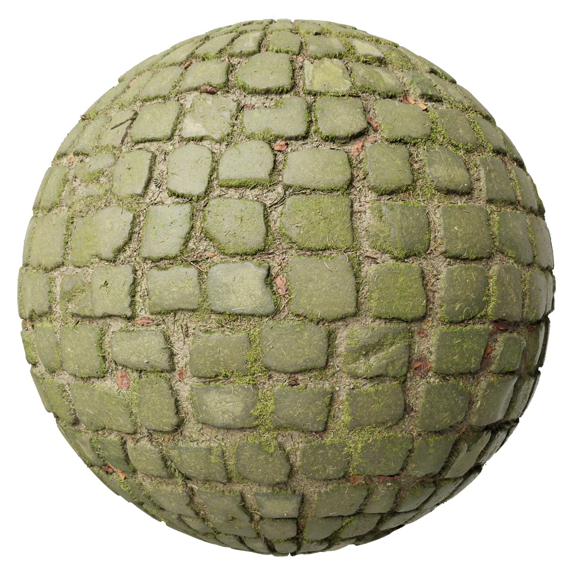 Paving Stones 113