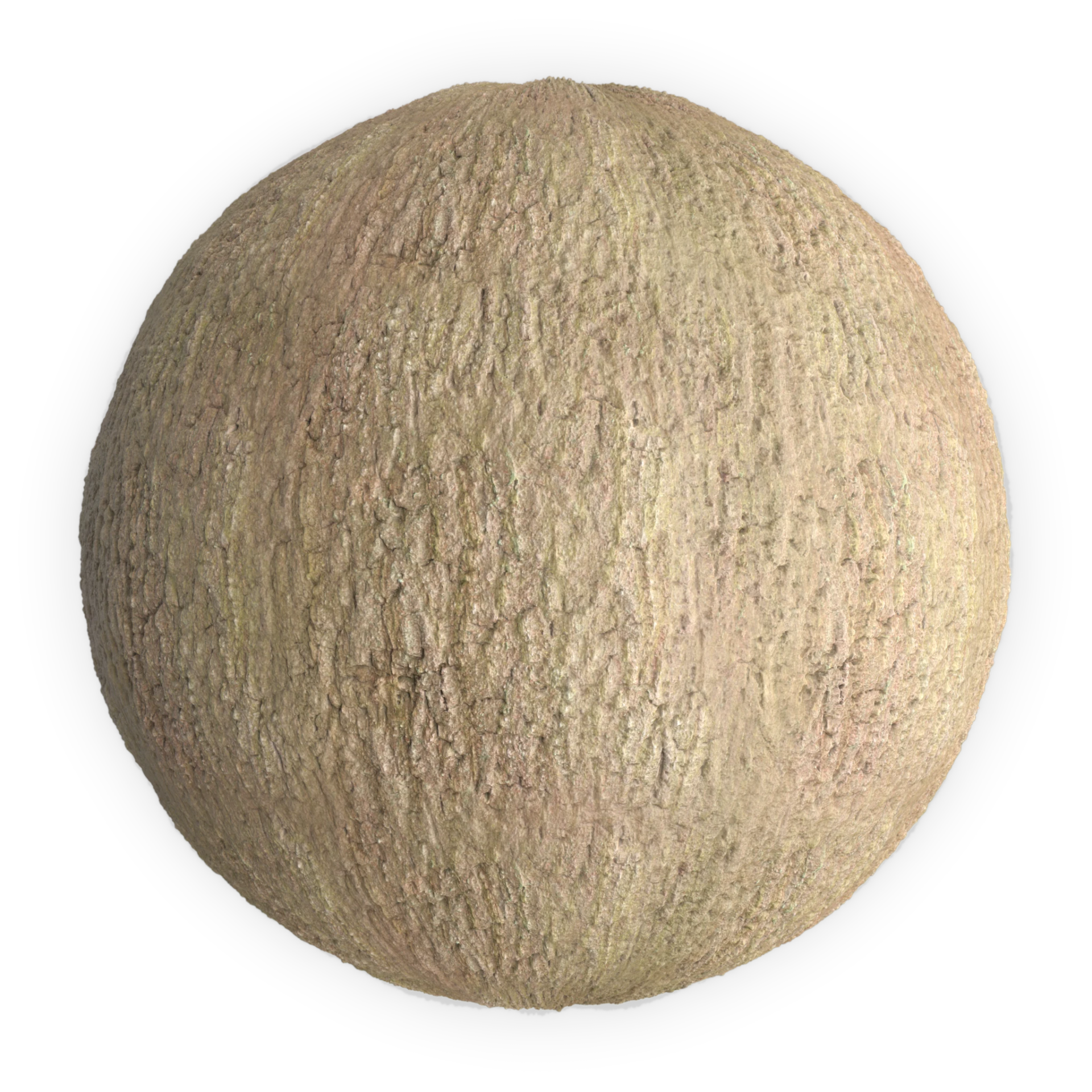 Bark 003