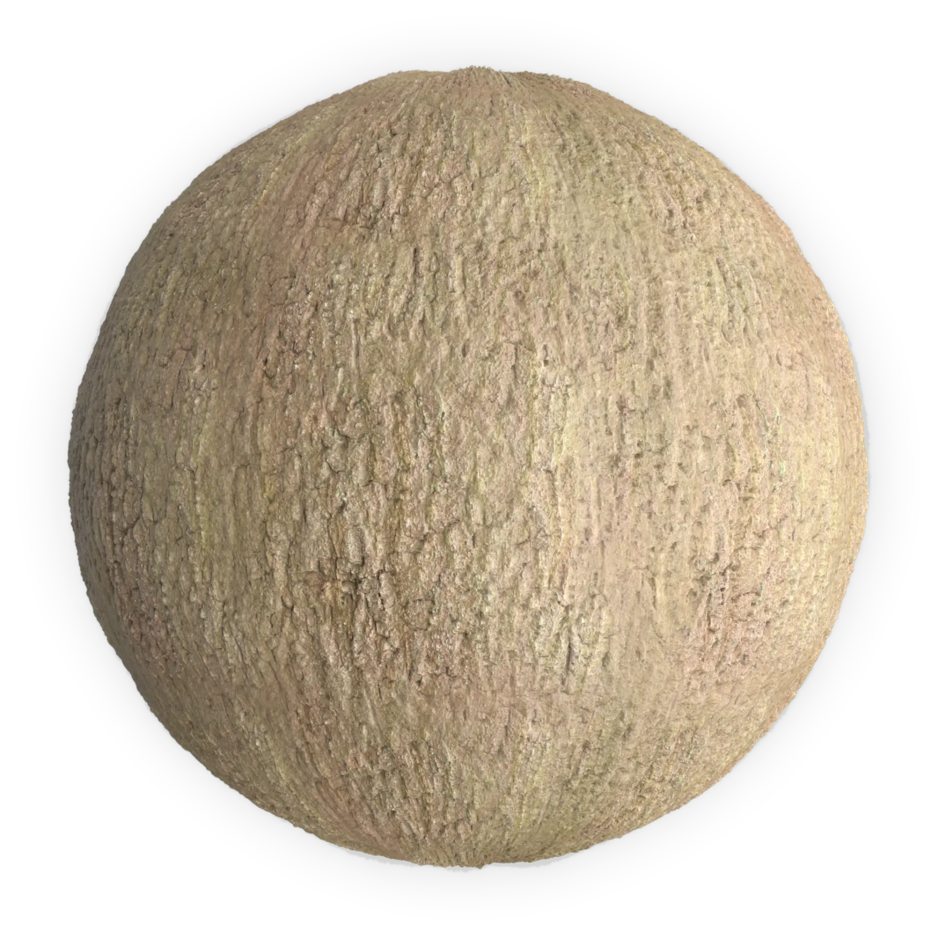 Bark 003