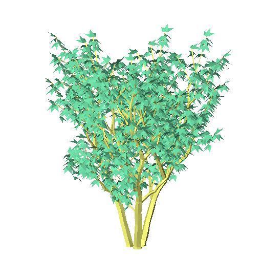 A_tree49