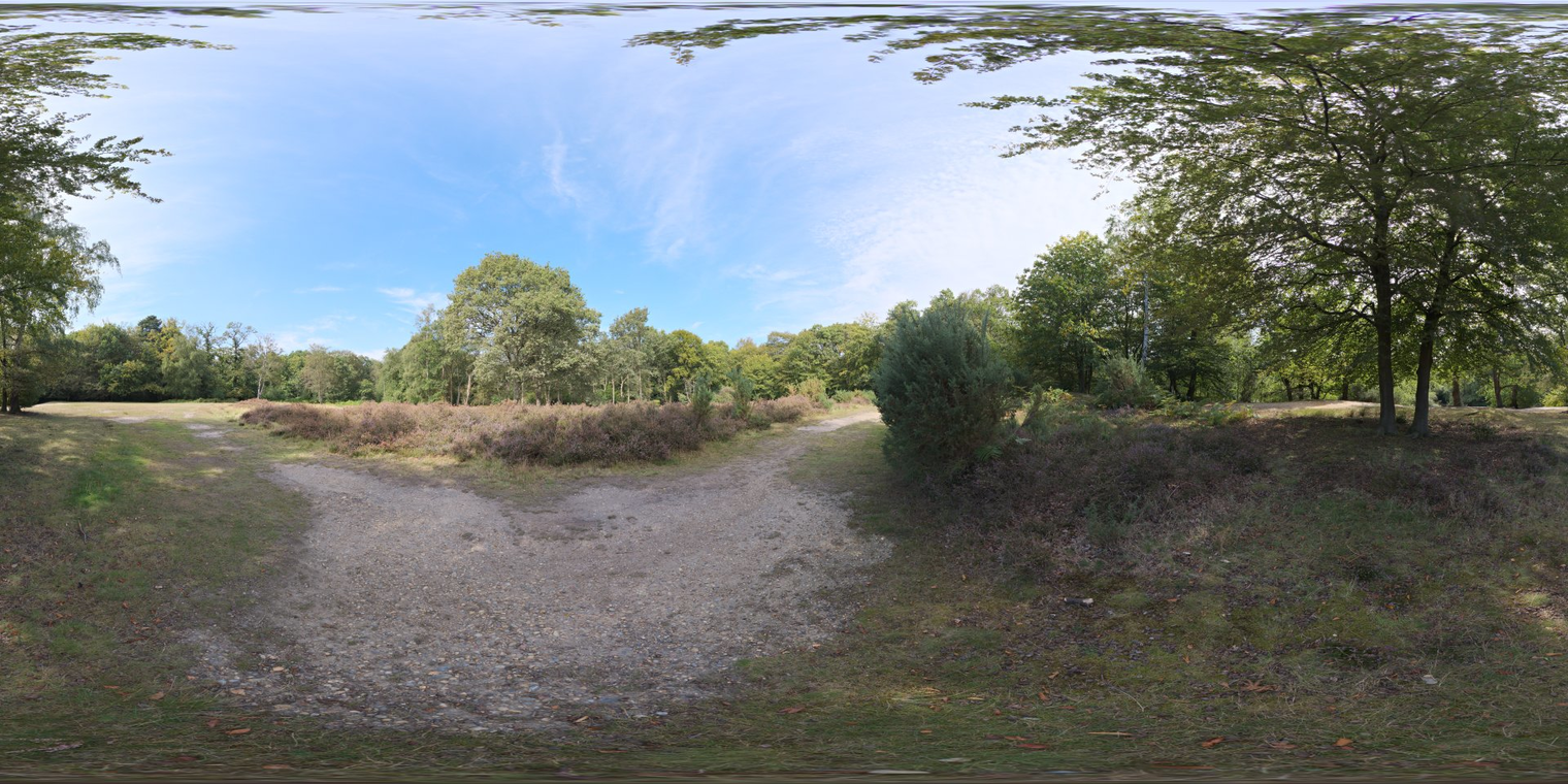 Epping Forest 2