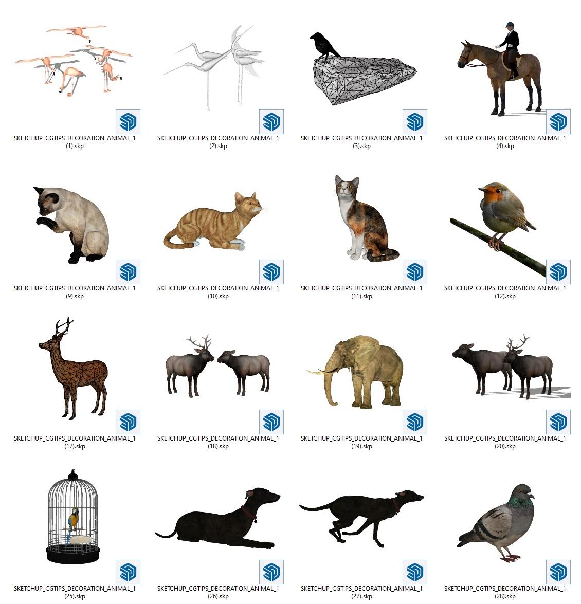 Animal