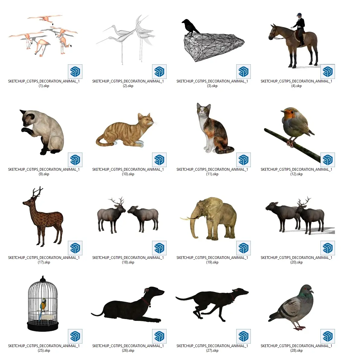 Animal