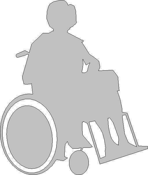 Wheelchair Scalie