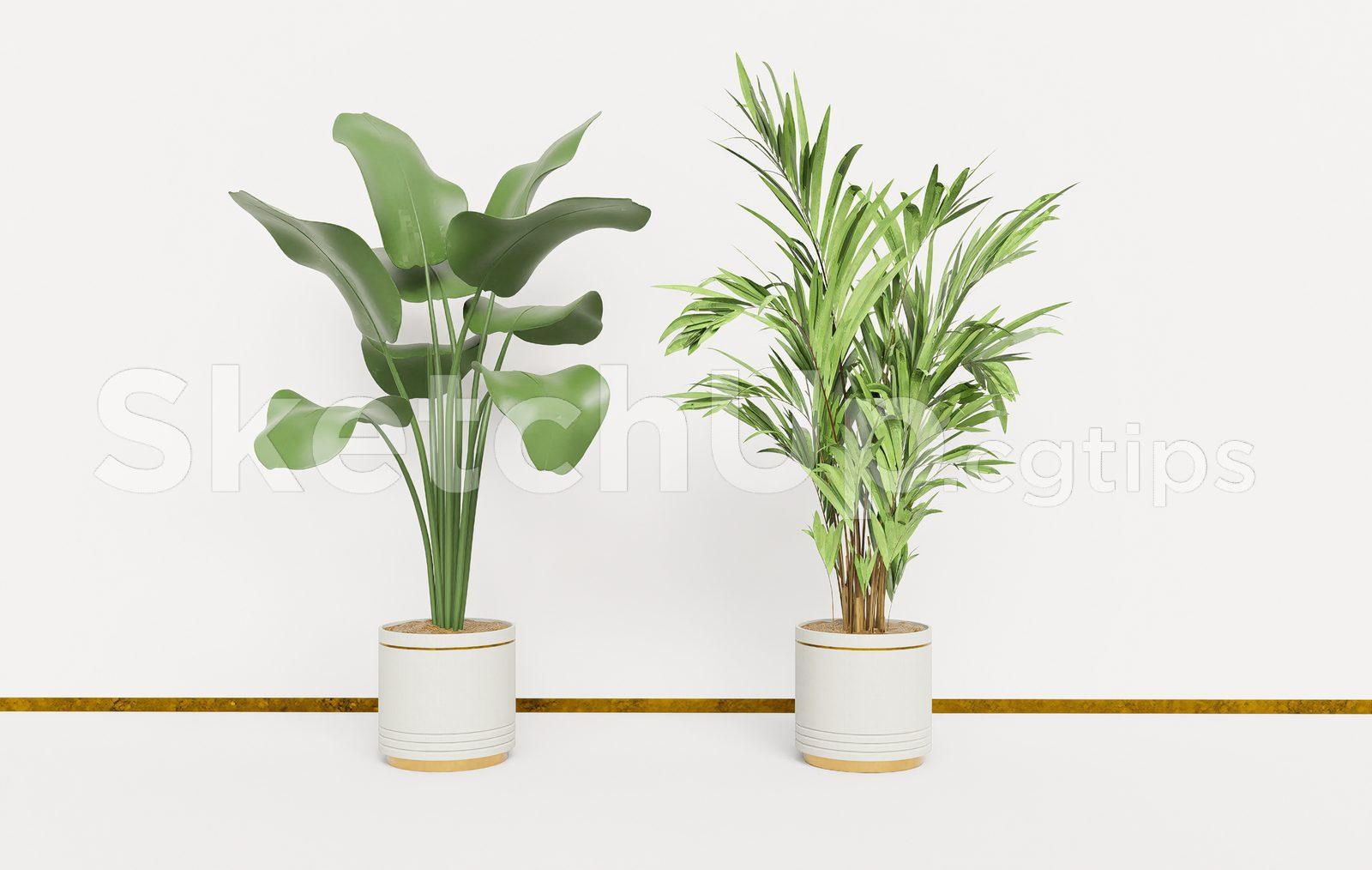 Modern Potted Plants SketchUp Model – Realistic Indoor Plant