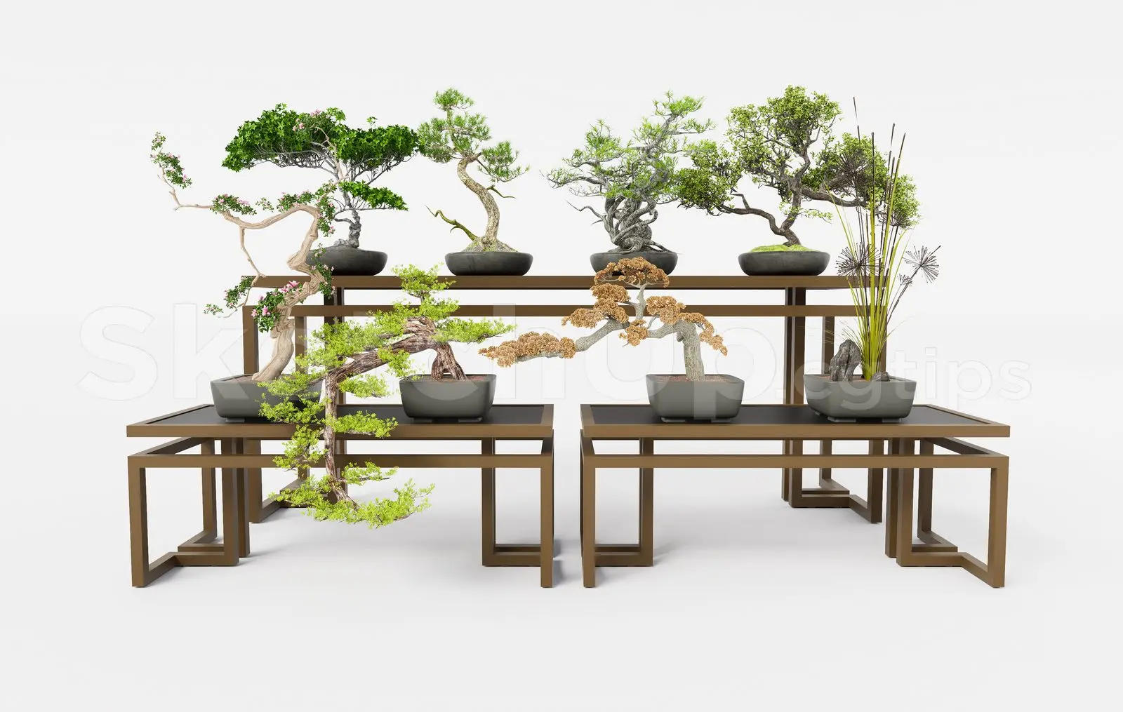 BonSai Tree