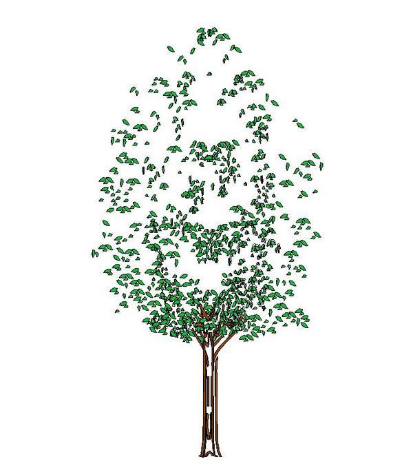 3d Revit Tree 7metres high